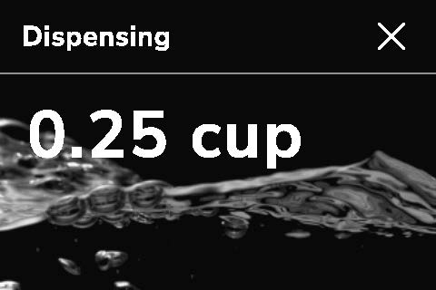 KGC3155_disp25cup.jpg